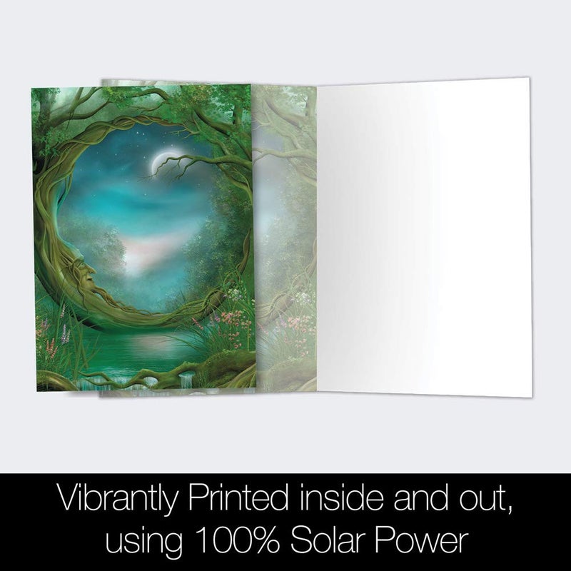 Tree-Free Greetings - All Occasion Cards - Artful Designs - 12 Greeting Cards + White Envelopes - Made in USA - 100% Recycled Paper - 4 x 6 - Day and Night (FS66495) - Image 3